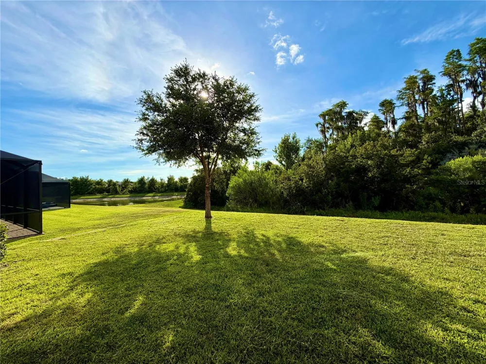 19522 WHISPERING BROOK DRIVE Tampa, FL 33647