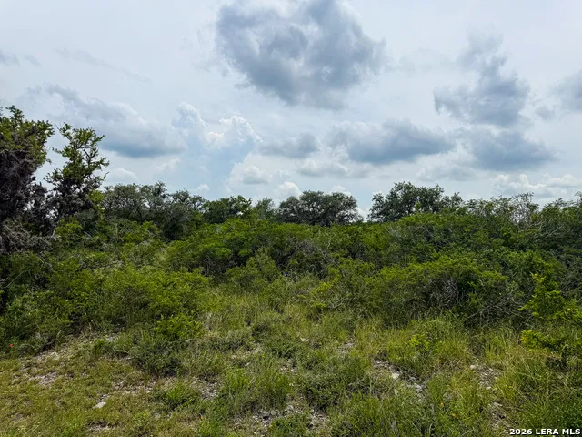 000 LT 23 Yucca Trail Beeville, TX 78071