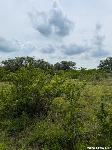 000 LT 23 Yucca Trail Beeville, TX 78071