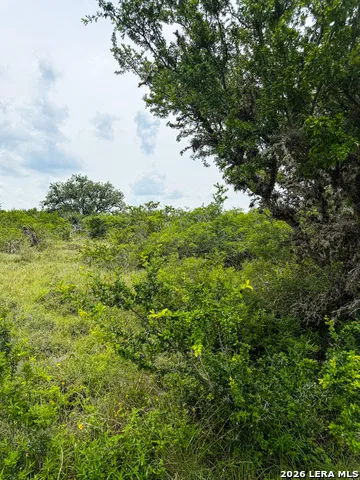 000 LT 23 Yucca Trail Beeville, TX 78071