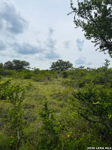 000 LT 23 Yucca Trail Beeville, TX 78071