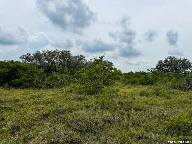 000 LT 23 Yucca Trail Beeville, TX 78071