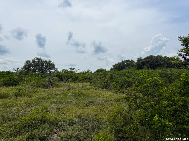 000 LT 23 Yucca Trail Beeville, TX 78071