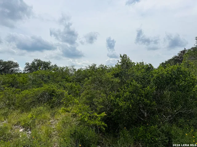 000 LT 23 Yucca Trail Beeville, TX 78071