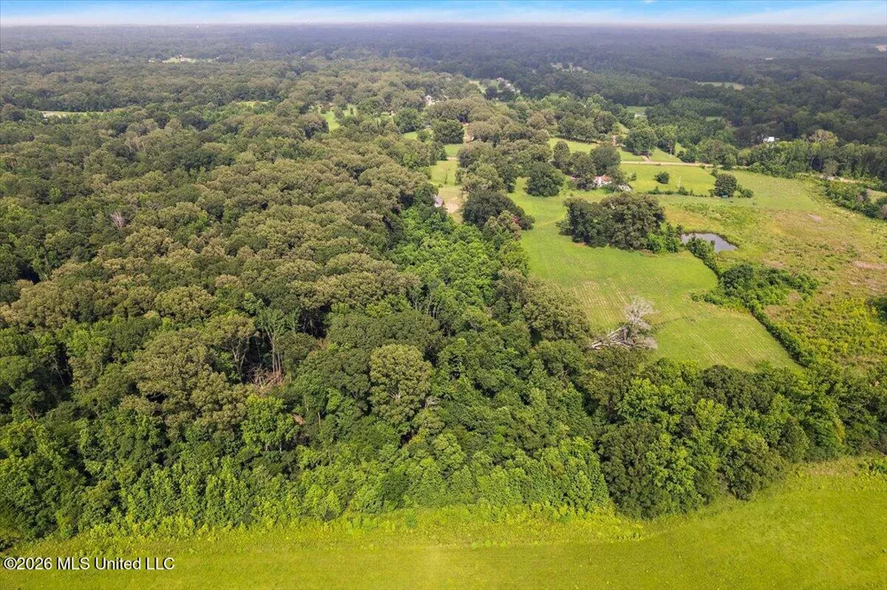 5049 Springridge Road Raymond, MS 39154