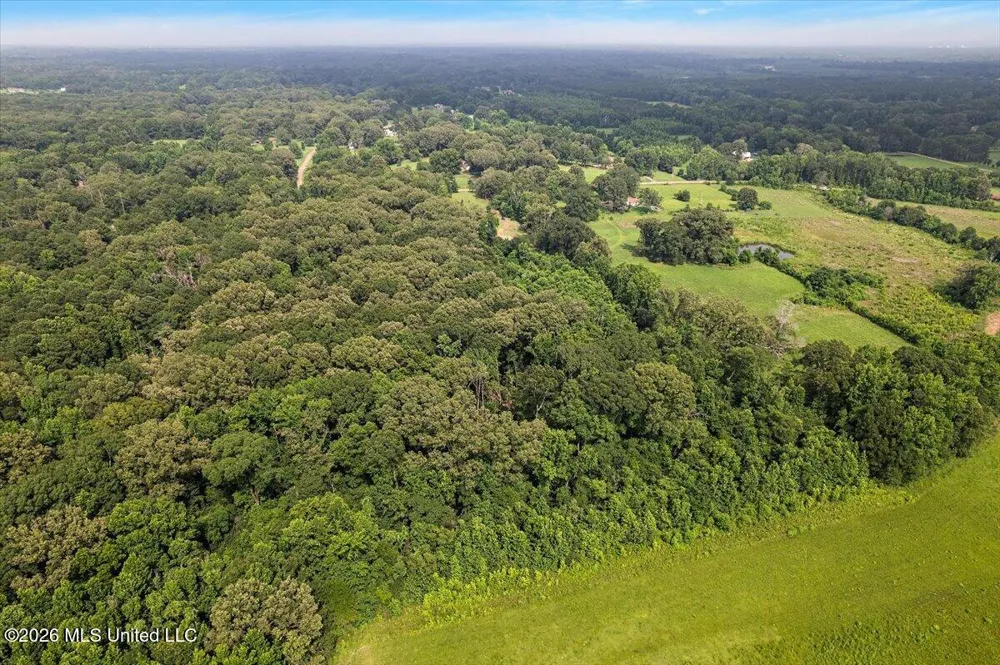 5049 Springridge Road Raymond, MS 39154