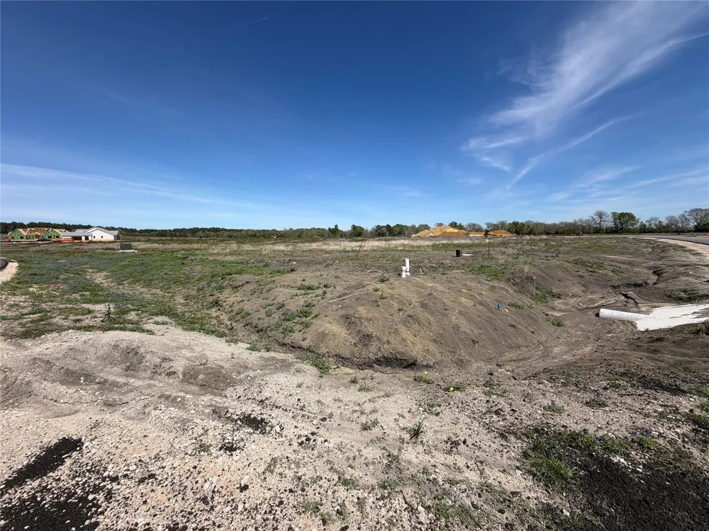 8959 Woodland Oaks Drive Plantersville, TX 77363