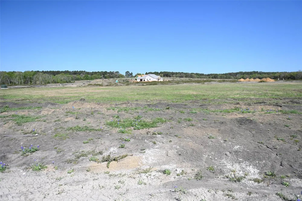 8959 Woodland Oaks Drive Plantersville, TX 77363