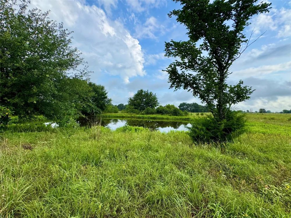 6655 County Road 118 Kaufman, TX 75142