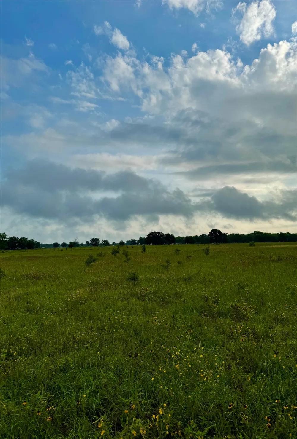 6655 County Road 118 Kaufman, TX 75142