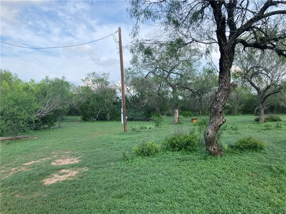 101 CR 101 San Diego, TX 78384