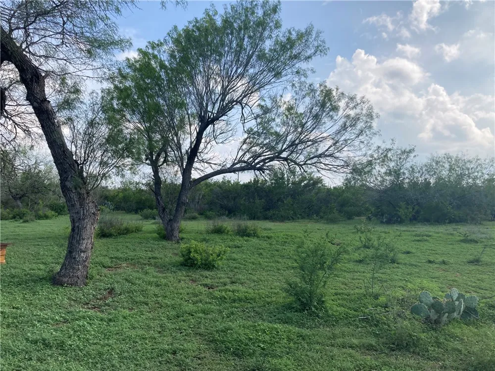 101 CR 101 San Diego, TX 78384