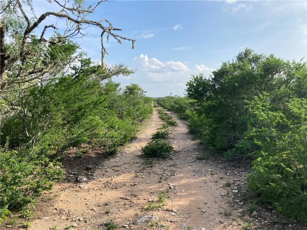 101 CR 101 San Diego, TX 78384