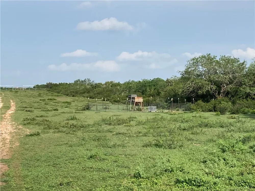 101 CR 101 San Diego, TX 78384