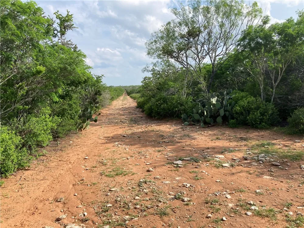 101 CR 101 San Diego, TX 78384