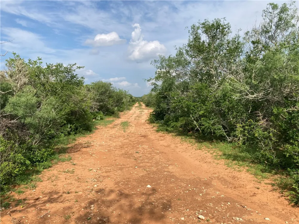 101 CR 101 San Diego, TX 78384
