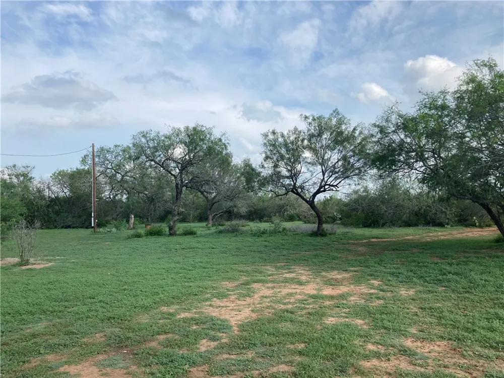 101 CR 101 San Diego, TX 78384