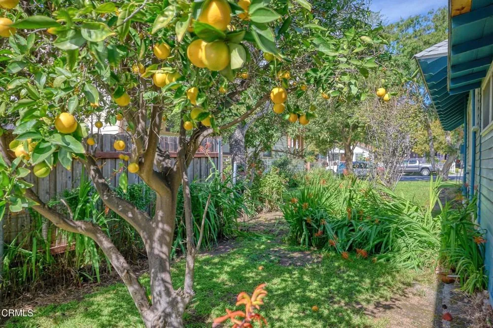 916 E Santa Paula Street Santa Paula, CA 93060
