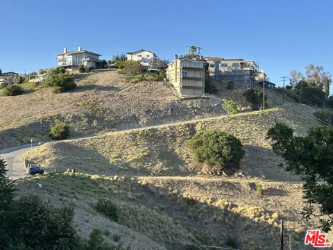 Beech & Amp