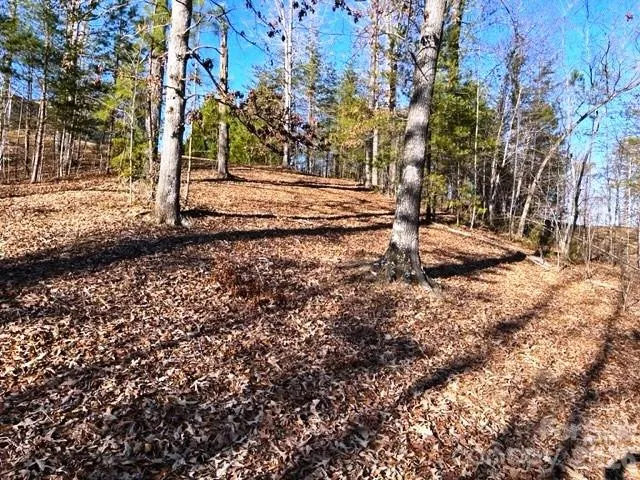 Lot 17-4 Coast Drive Mill Spring, NC 28756