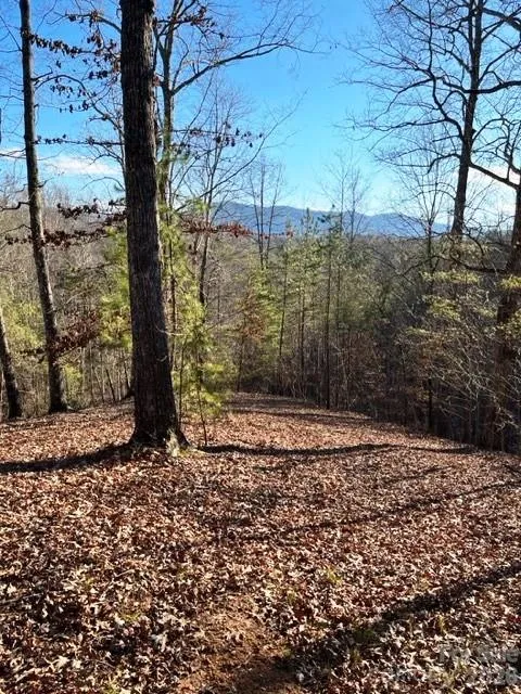 Lot 17-4 Coast Drive Mill Spring, NC 28756