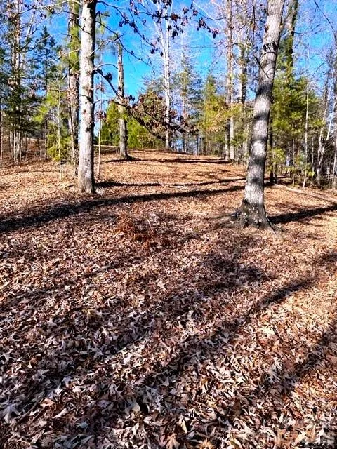 Lot 17-4 Coast Drive Mill Spring, NC 28756