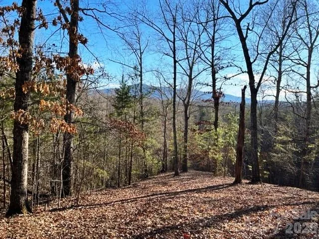 Lot 17-4 Coast Drive Mill Spring, NC 28756