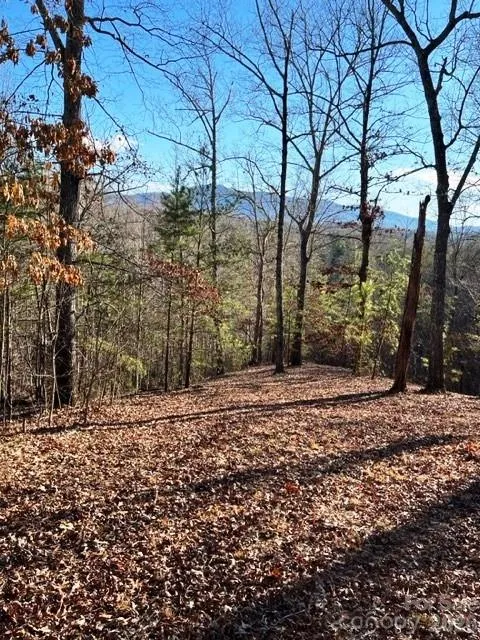 Lot 17-4 Coast Drive Mill Spring, NC 28756