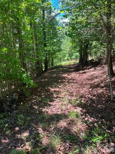 Lot 17-4 Coast Drive Mill Spring, NC 28756
