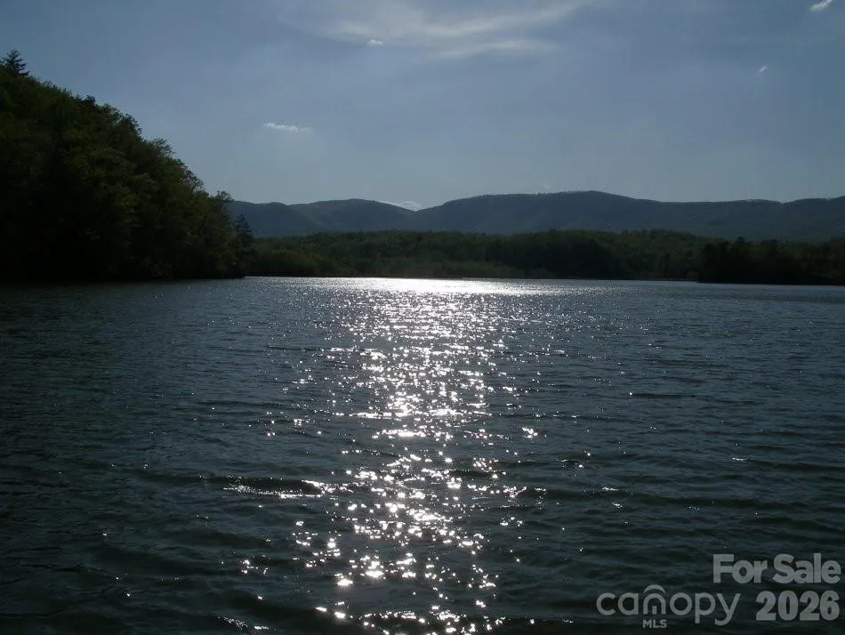 Lot 17-4 Coast Drive Mill Spring, NC 28756