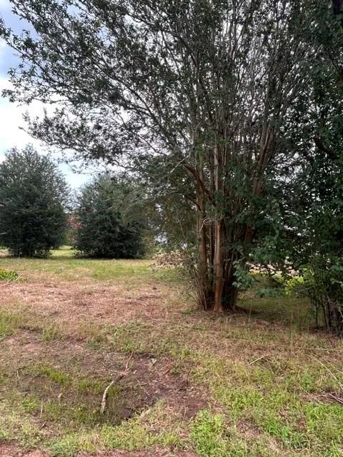 2nd Street Hempstead, TX 77445
