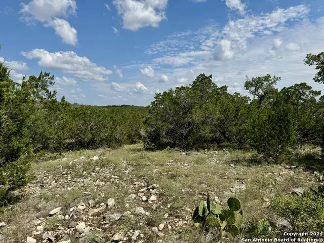 LOT 10 PR 2535 Mico, TX 78056