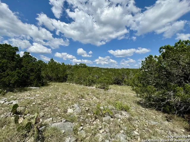 LOT 10 PR 2535 Mico, TX 78056