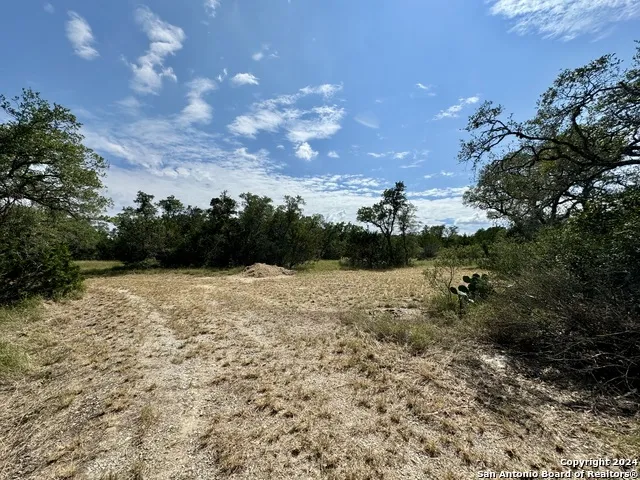 LOT 10 PR 2535 Mico, TX 78056