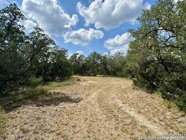 LOT 10 PR 2535 Mico, TX 78056