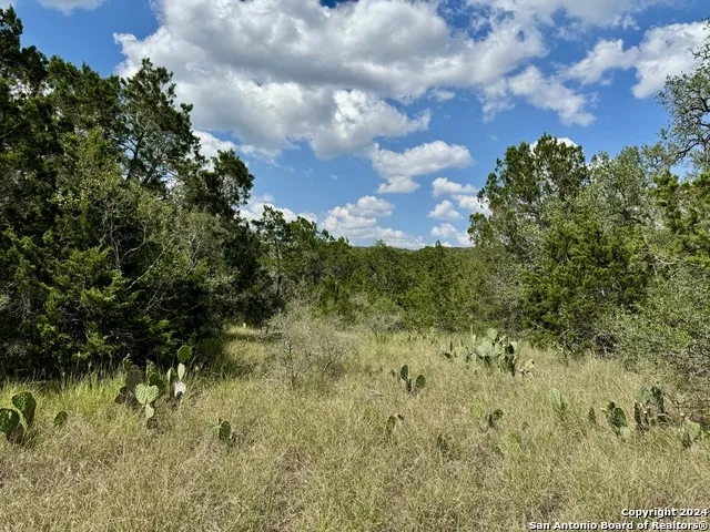 LOT 10 PR 2535 Mico, TX 78056