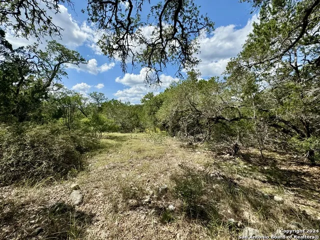 LOT 10 PR 2535 Mico, TX 78056