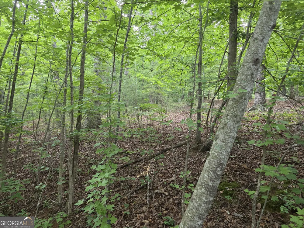 2 LOTS Oak Forest Clarkesville, GA 30523