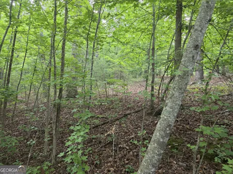 2 LOTS Oak Forest