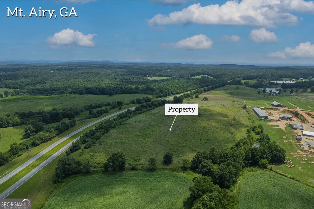20 ACRES Sthighway 365 Mount Airy, GA 30563