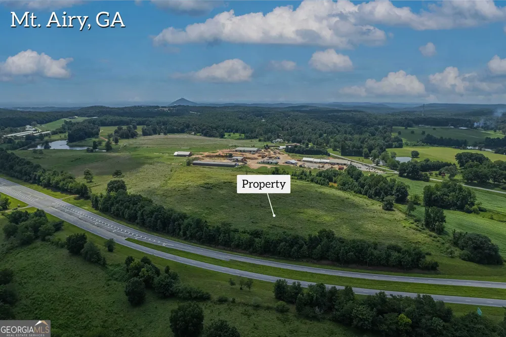 20 ACRES Sthighway 365 Mount Airy, GA 30563