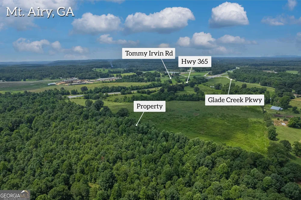 127 ACRES HWY 365 S Sthighway 365 Mount Airy, GA 30563