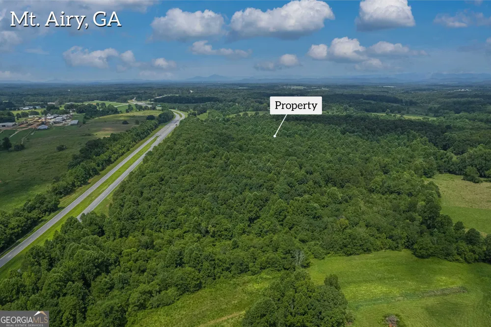 127 ACRES HWY 365 S Sthighway 365 Mount Airy, GA 30563