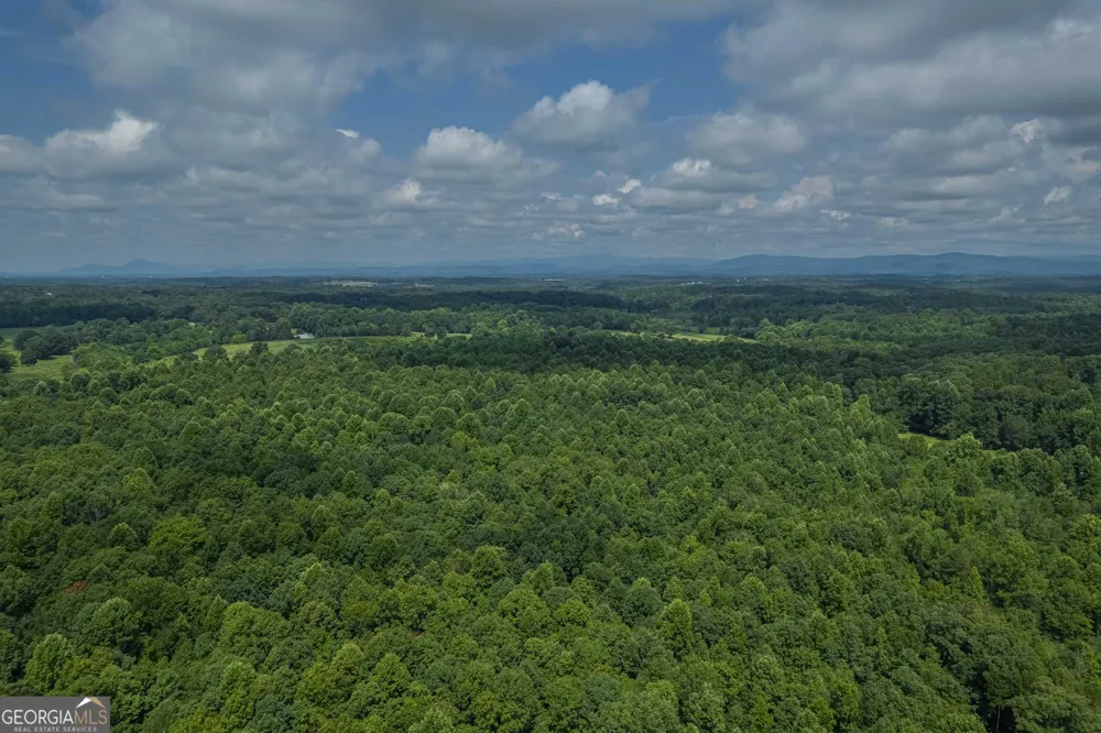 127 ACRES HWY 365 S Sthighway 365 Mount Airy, GA 30563