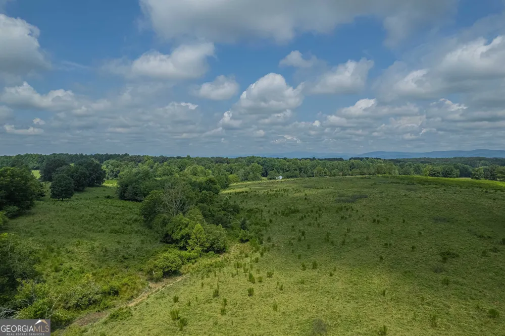 127 ACRES HWY 365 S Sthighway 365 Mount Airy, GA 30563