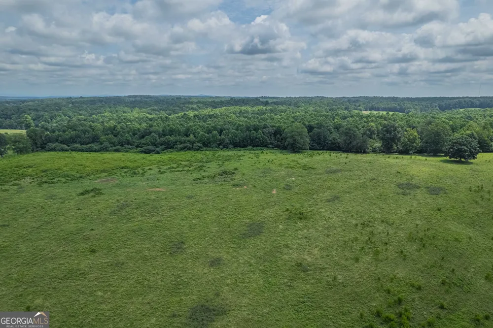 127 ACRES HWY 365 S Sthighway 365 Mount Airy, GA 30563