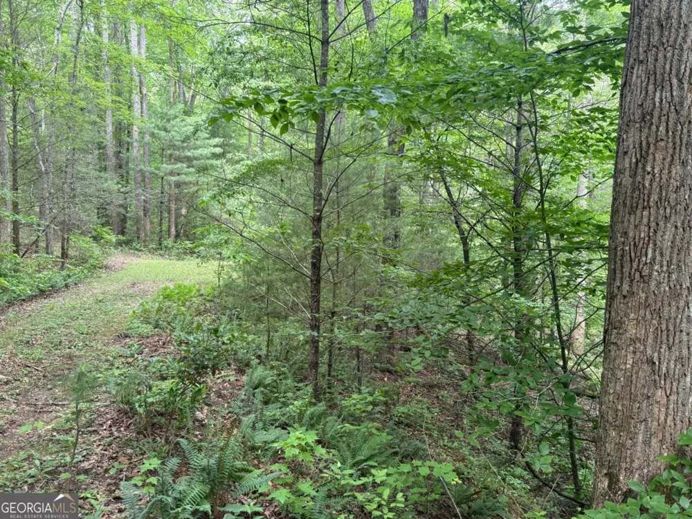 1 AC Spiva Cove CIR Blairsville, GA 30512