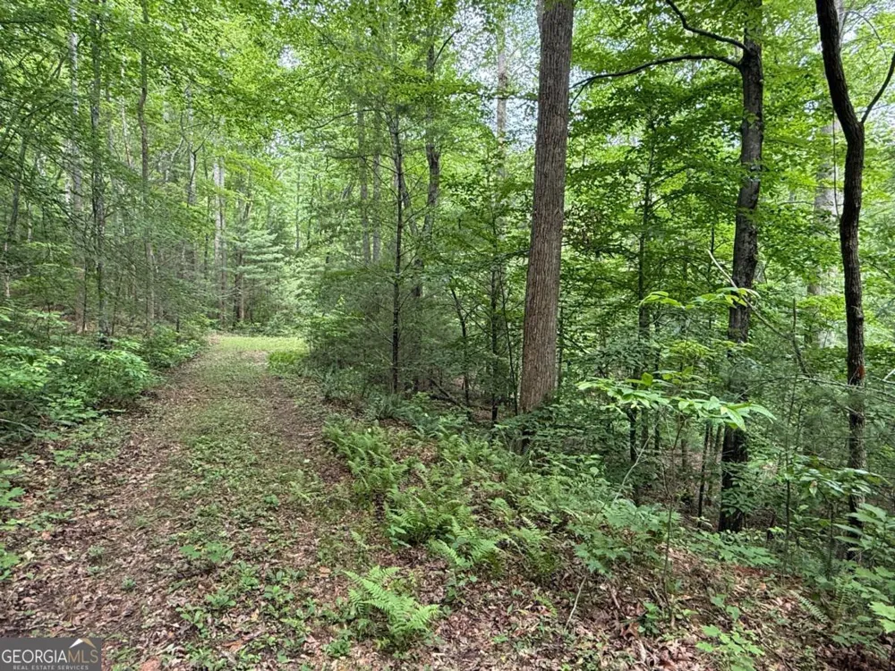 1 AC Spiva Cove CIR Blairsville, GA 30512
