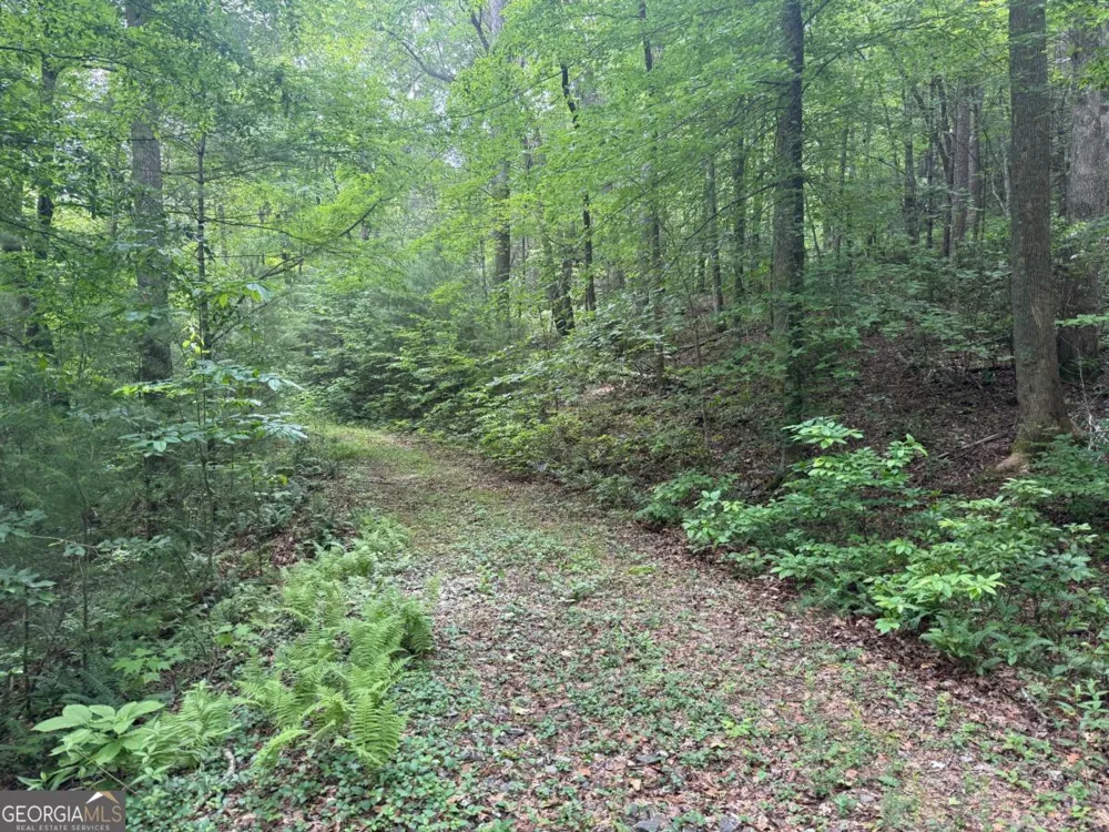 1 AC Spiva Cove CIR Blairsville, GA 30512