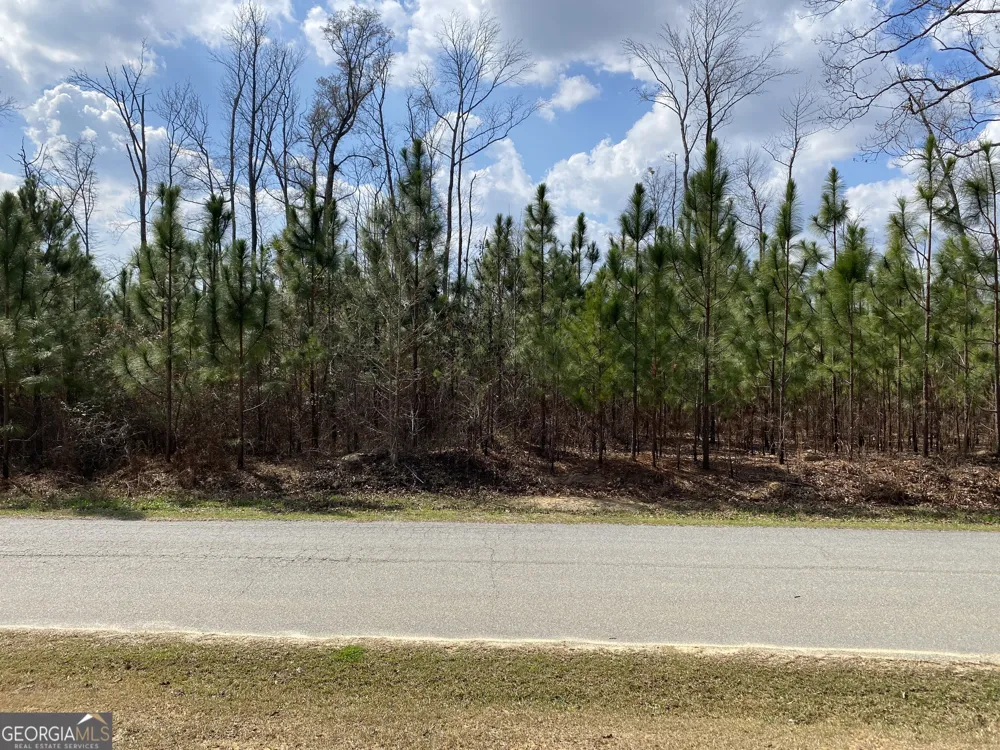 0 PARCEL 3 Baker RD Waverly Hall, GA 31831